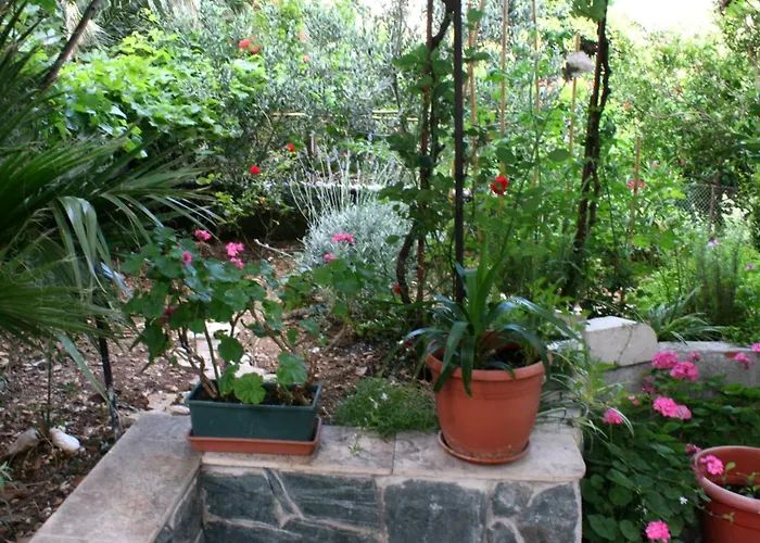 Guest house And With Parking Space - 6644 Makarska