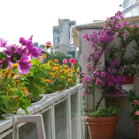 And With Parking Space - 6644 Gæstehus Makarska