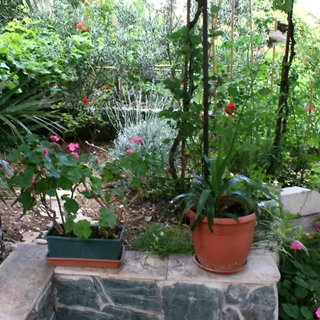 Pensionat And With Parking Space - 6644 Makarska